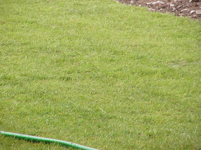 20-04-2004 12-31-11.JPG